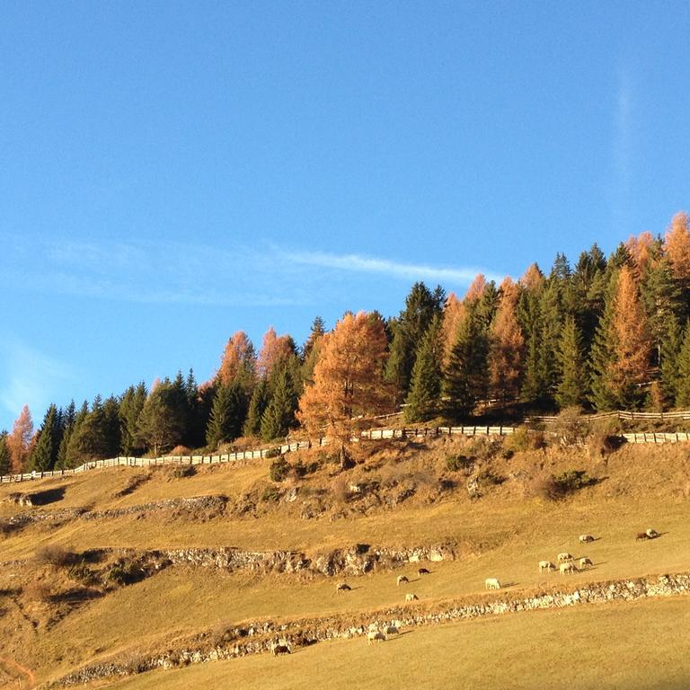 Agriturismo Maso Larciunei Selva di Val Gardena Exteriör bild